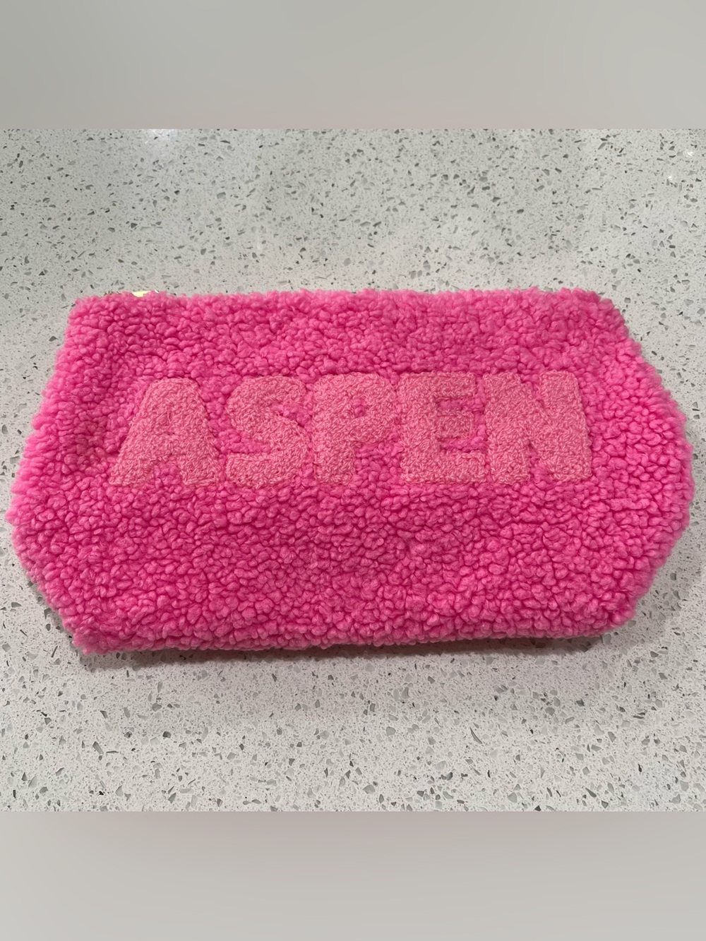 Viral ASPEN Small Teddy Pouch In Shocking Cotton Candy Pink With Gold Hardware